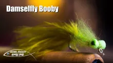 Video thumb for Damselfly Booby