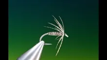 Video thumb for Spider hackle technique