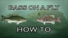 Video thumb for Bass On A Fly - How To