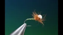 Video thumb for Hangman midge pupa