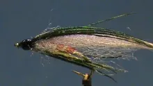 Video thumb for Baby Brown Trout