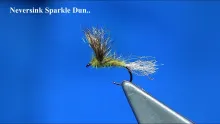 Video thumb for Neversink Sparkle Dun