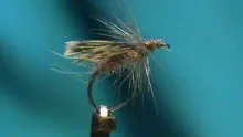 Video thumb for Hen Back Caddis